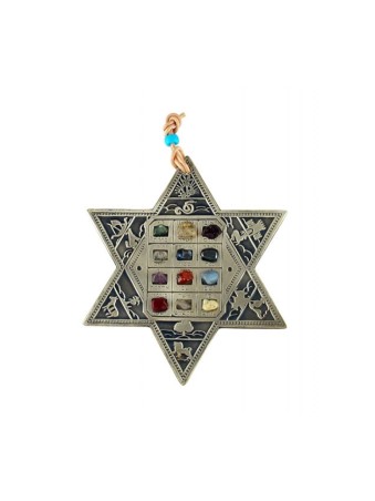 תליית קיר מגן דוד עם שנים עשר שבט ובר... | מָגֵן דָוִד